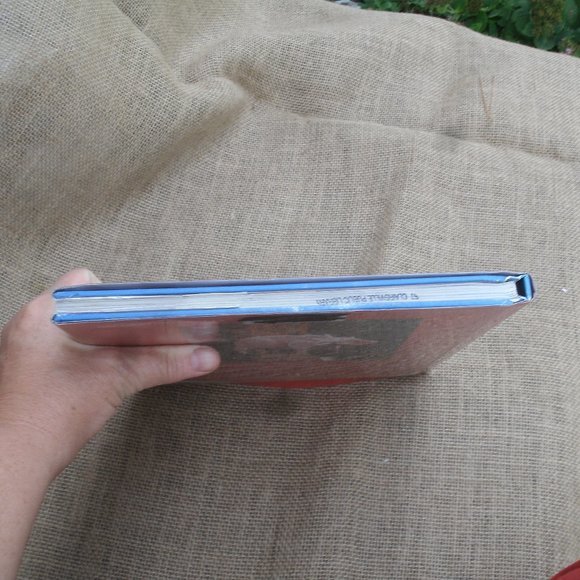 Country Style Painted Wood Projects crafts art book - Picture 13 of 16